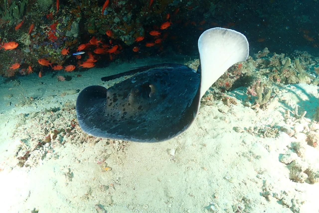 Coco Villa,Ukulhas Eksteriør bilde